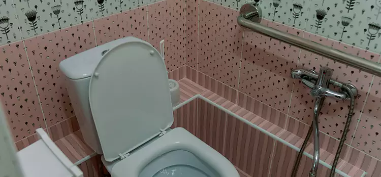 Meeting Diverse Needs With Accessible Restroom Solutions in Ronkonkoma, NY